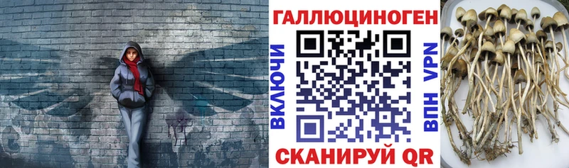 Псилоцибиновые грибы прущие грибы нарко площадка телеграм Людиново МЕГА рабочий сайт